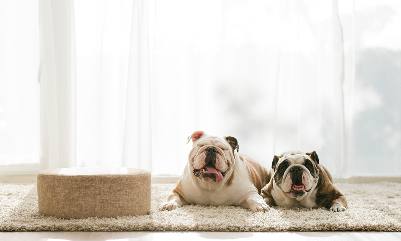 緩啟緩?fù)＃z滑般的運(yùn)行體驗(yàn)